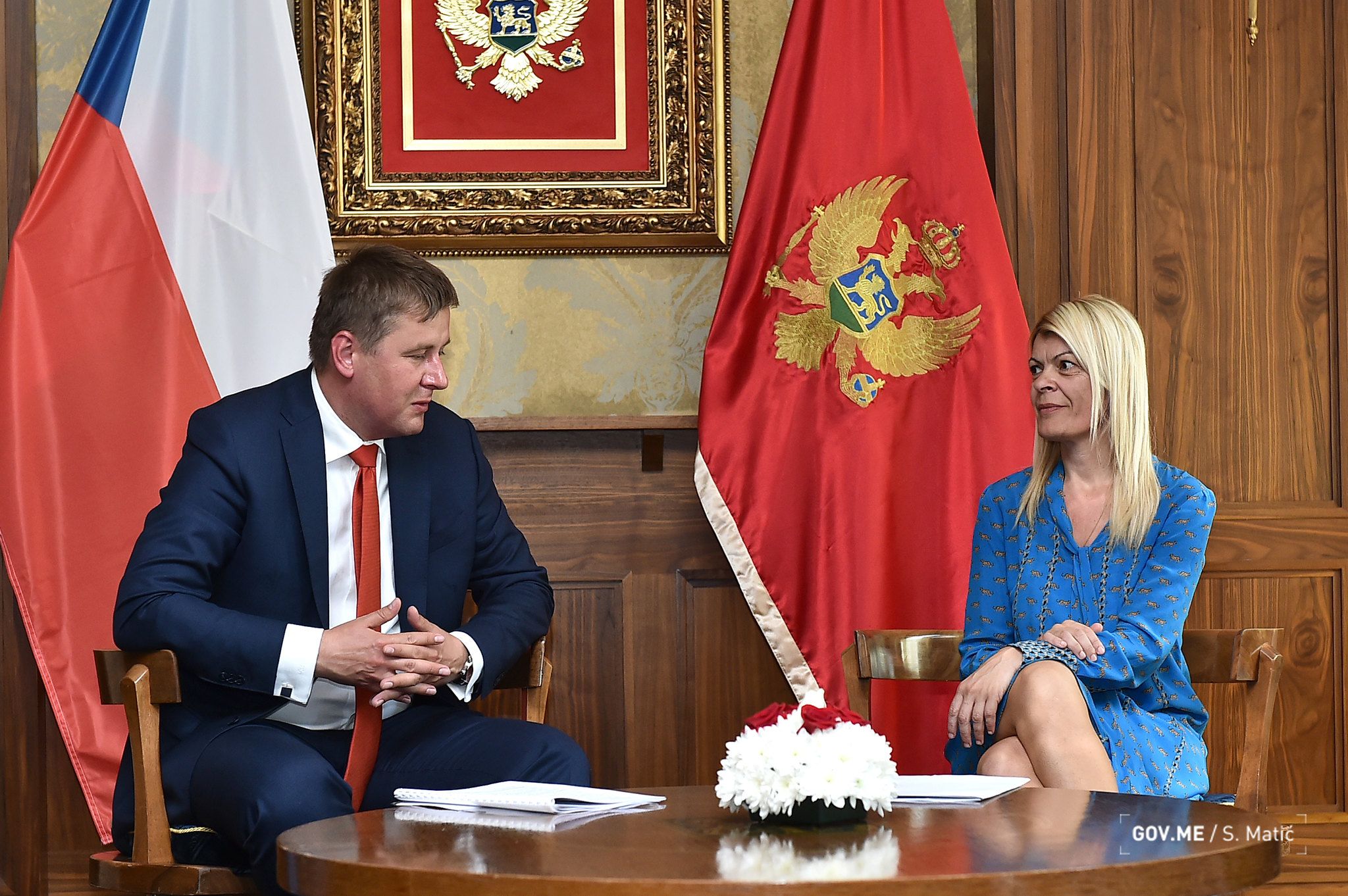 Montenegro and Czech Republic Scientific and Technological Cooperation11