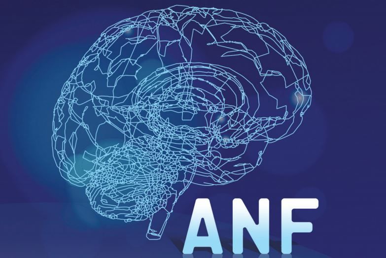 Adriatic Neurology Forum in Budva from May 22 26 2