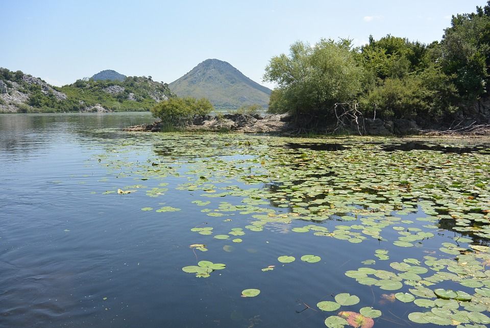 Skadar Lake