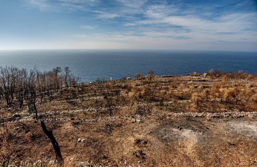 land Petrovac_02-_DSC6081.jpg