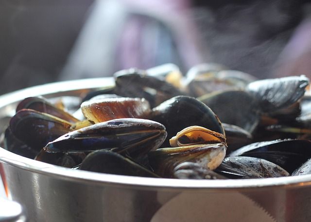 mussels-811759_640.jpg