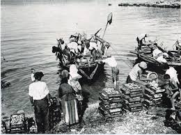 tradicionalno ribarstvo