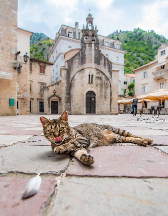 Ranko Maraš Photo Exhibition as Part of Open Kotor Squares