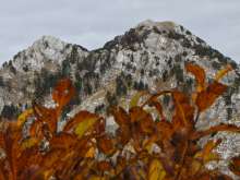 Nature Park Orjen in The Regional Network of the Dinarides Parks