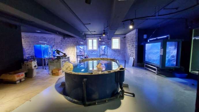 Boka Aquarium Almost Ready To Open For Visitors