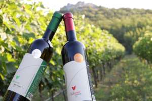 Wines from Montenegro Win Prizes at Decanter World Wine Awards