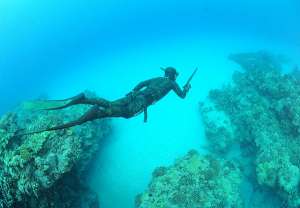 Spearfishing Championship of Montenegro This Sunday